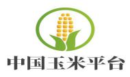 中国玉米平台
